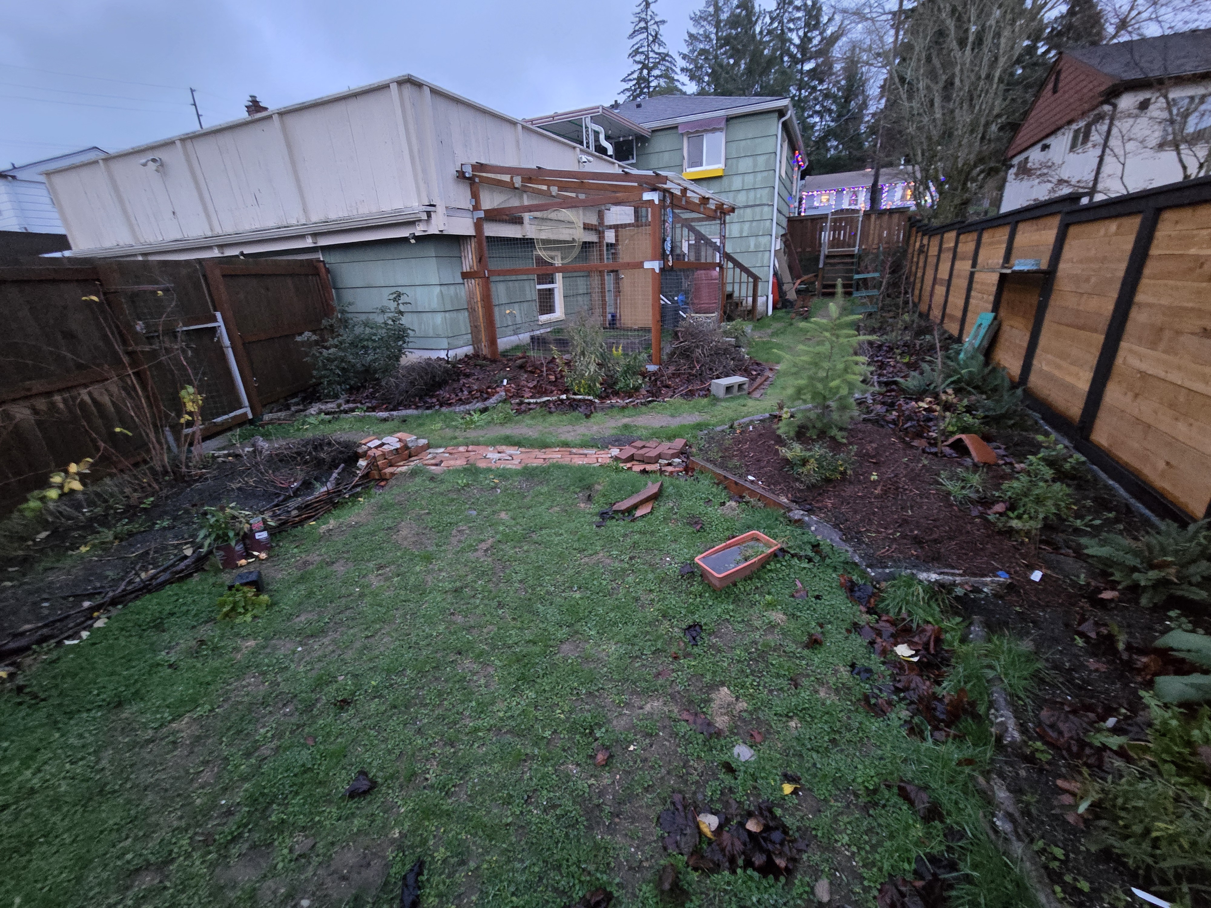 The back yard for the first time! This year we've done so much work to shape the garden, and hopefully these plants will really bloom over the coming year. 