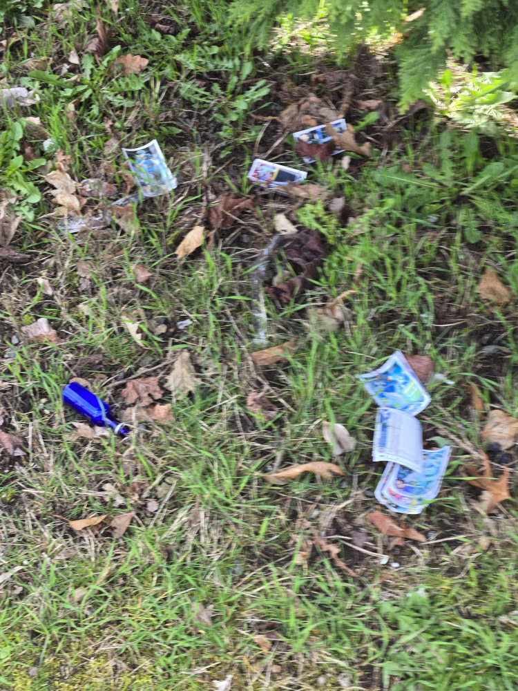 A blurry photograph of warped cards scattered among grass and dead leaves.