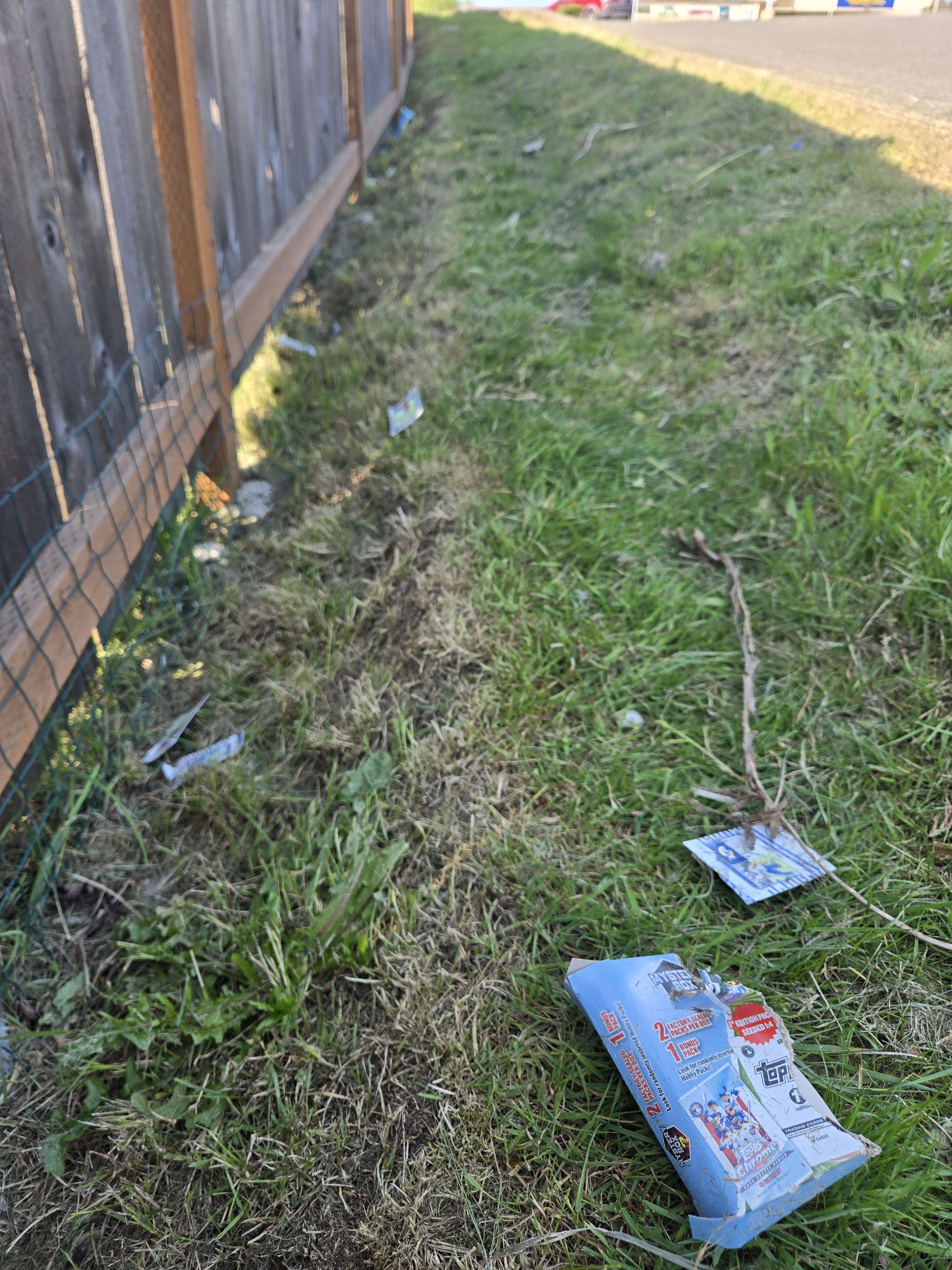 A bad photograph of a torn open Tops baseball card box. The cards are strewn widely over a strip of grass.