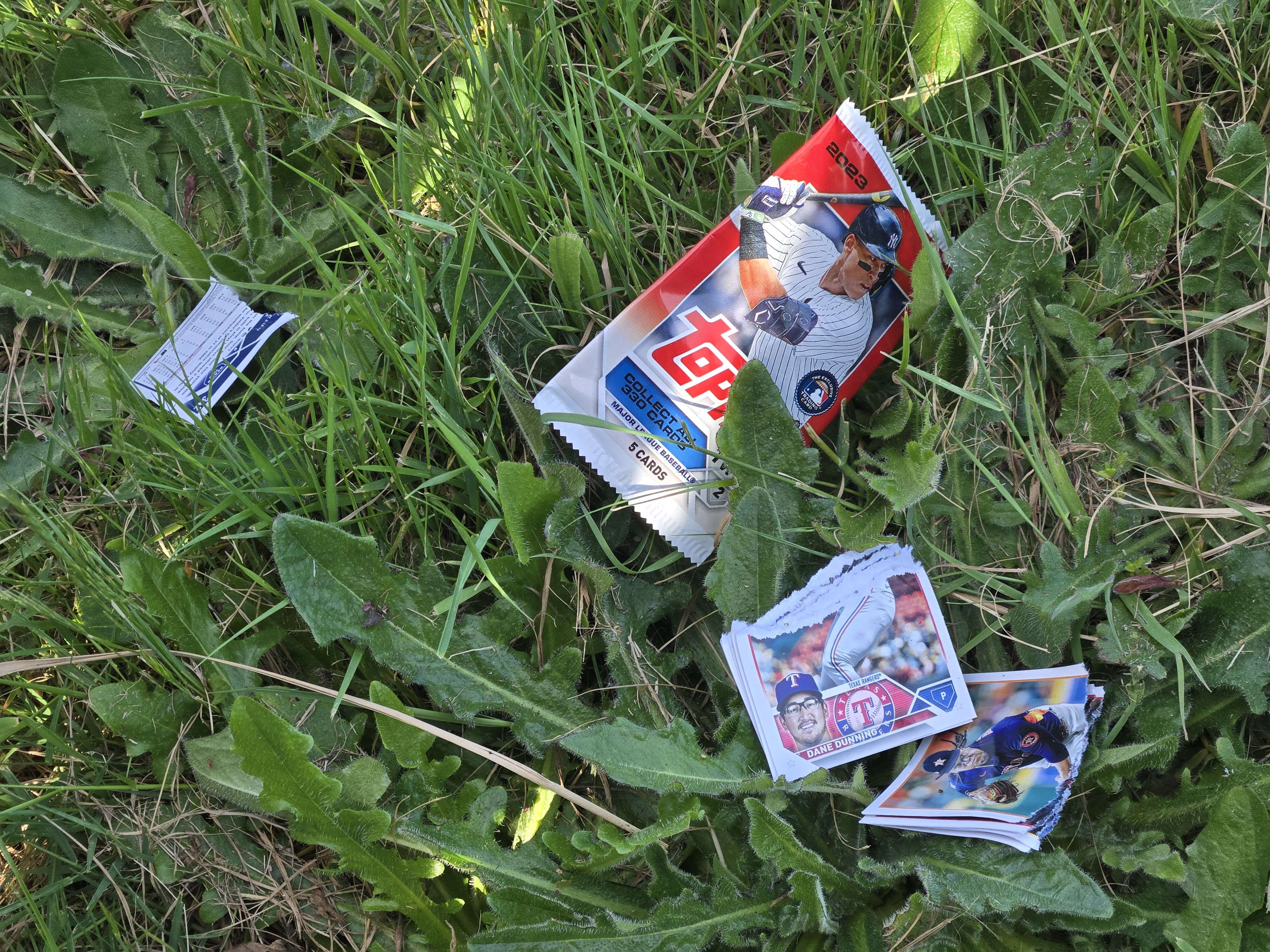 Tops baseball cards strewn beside an open pack. Unusually, these have all been torn in half. These cards were scattered more, and I did stage this one a bit.