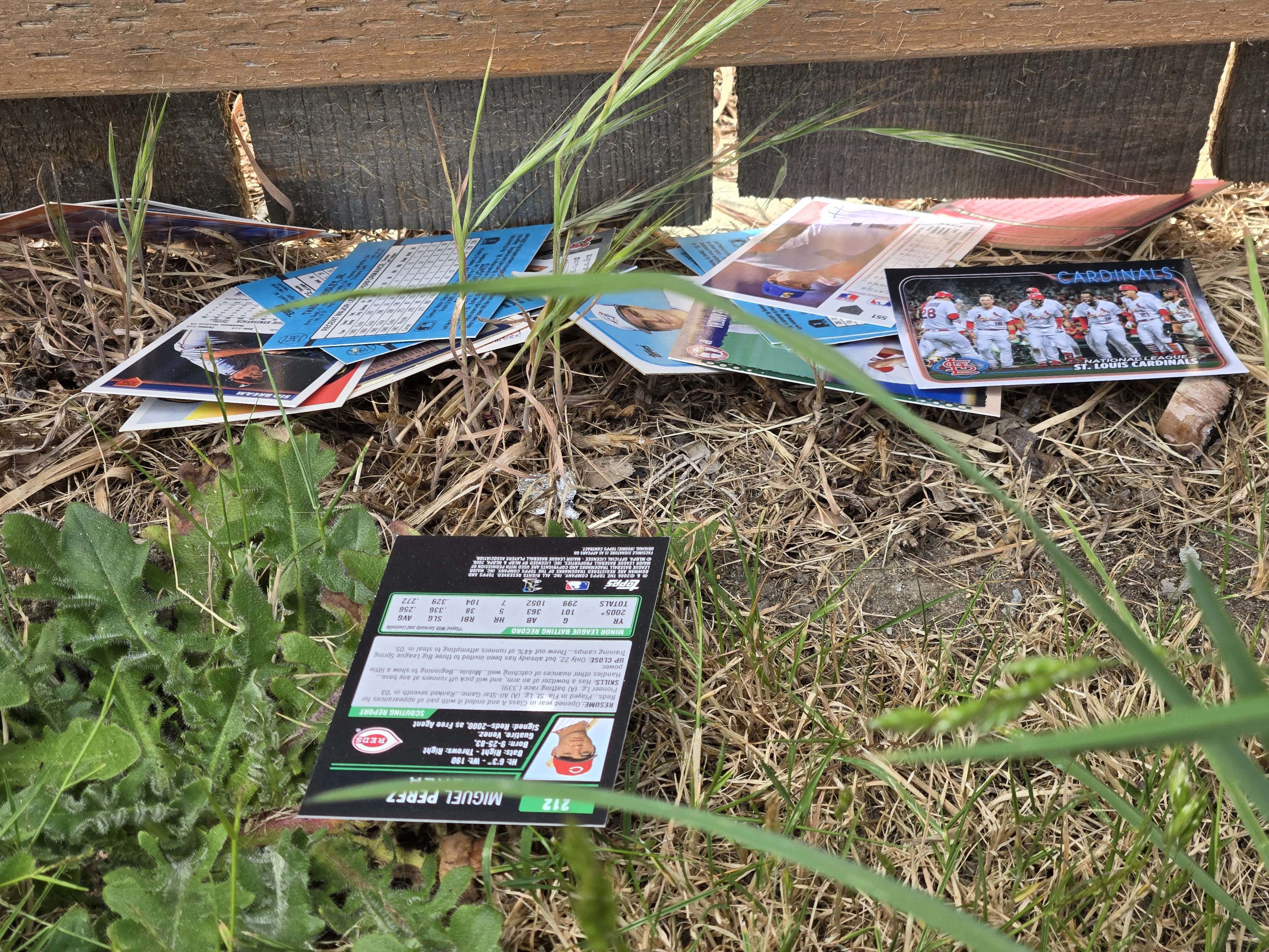 a scattered pack of baseball cards, the cardinals team shot is prominent. The stack is partially wedged under a fence